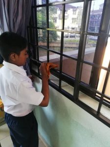 clean_window