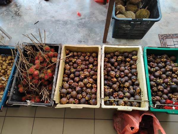 7elevenDurianLocalFruitsParty_16